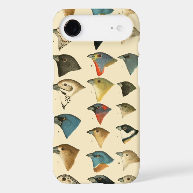 North American Birds Case-Mate iPhone Case (Back)