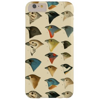 North American Birds Barely There Iphone 6 Plus Case by ThinxShop at Zazzle