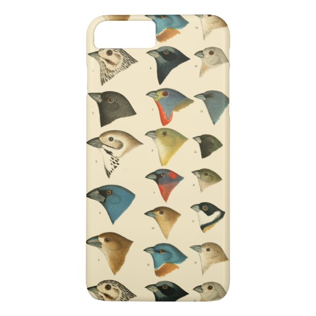 North American Birds Case-Mate iPhone Case (Back)