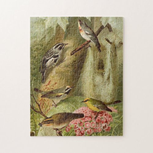 North American Birds  Gustav Mützel Jigsaw Puzzle