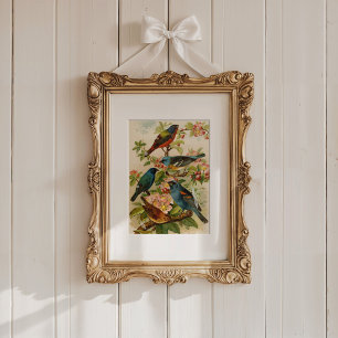 North American Birds Gustav Mützel Poster