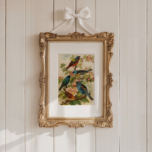 North American Birds | Gustav Mützel Poster (Creator Uploaded)