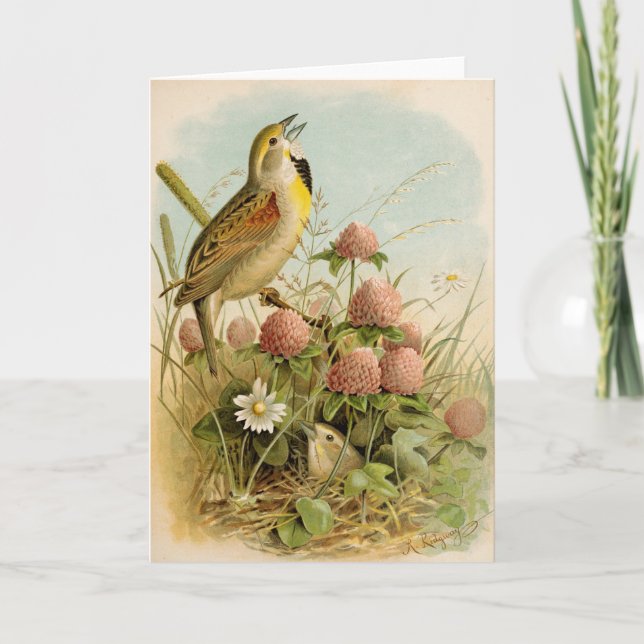 North American Birds | Robert Ridgway Card (Front)