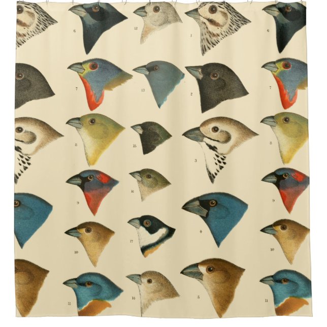 North American Birds Shower Curtain (Front)