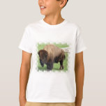 North American Bison Kid's T-Shirt