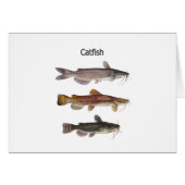 North American Catfish Logo (Front Horizontal)