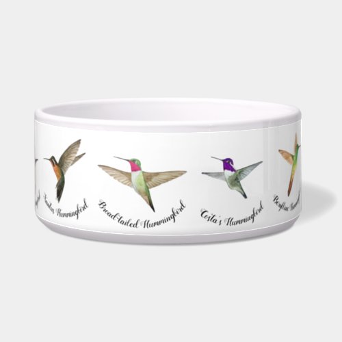 North American Hummingbirds Bowl