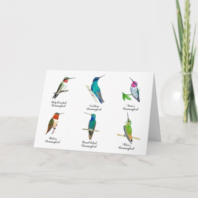 North American Hummingbirds  Card (Front)
