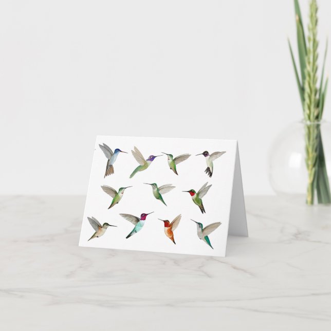 North American Hummingbirds Card (Front)