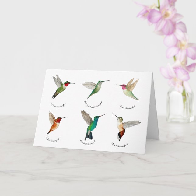 North-American Hummingbirds Card (Orchid)