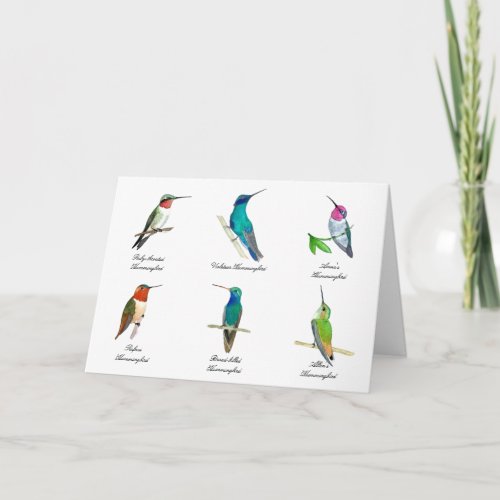 North American Hummingbirds  Card