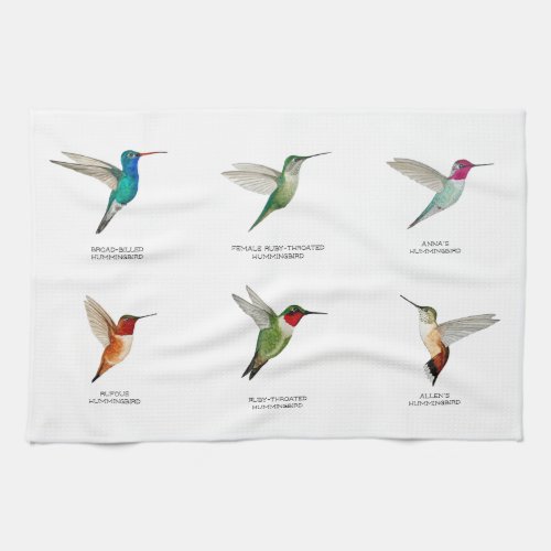 North American Hummingbirds Kitchen Towel