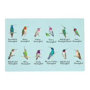 North American Hummingbirds  Placemat