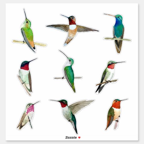 North American Hummingbirds Sticker