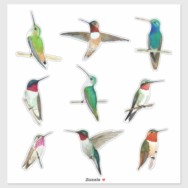 North American Hummingbirds Sticker (Sheet)