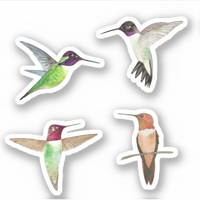 North American Hummingbirds Sticker (Front)