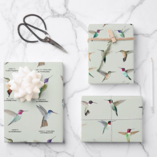 North American Hummingbirds Wrapping Paper Sheets