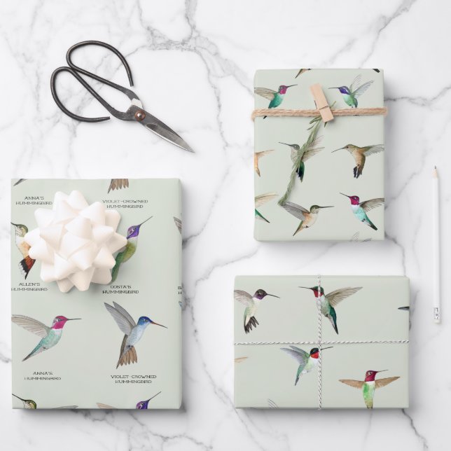 North American Hummingbirds Wrapping Paper Sheets (Front)