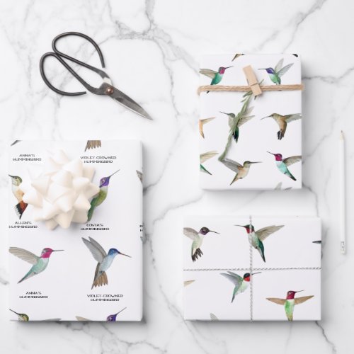 North American Hummingbirds Wrapping Paper Sheets