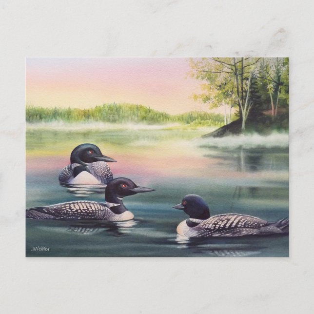 North American Loons on Lake Watercolor Art Postcard (Front)