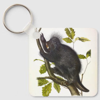North American or Canada Porcupine by Audubon Keychain