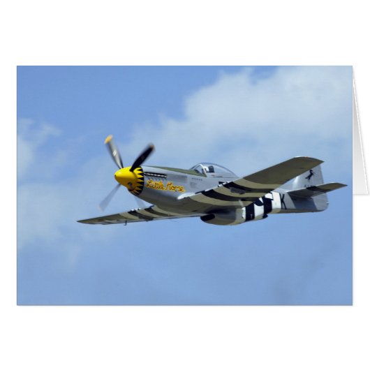 North American P-51D Mustang, Little Horse (Front Horizontal)