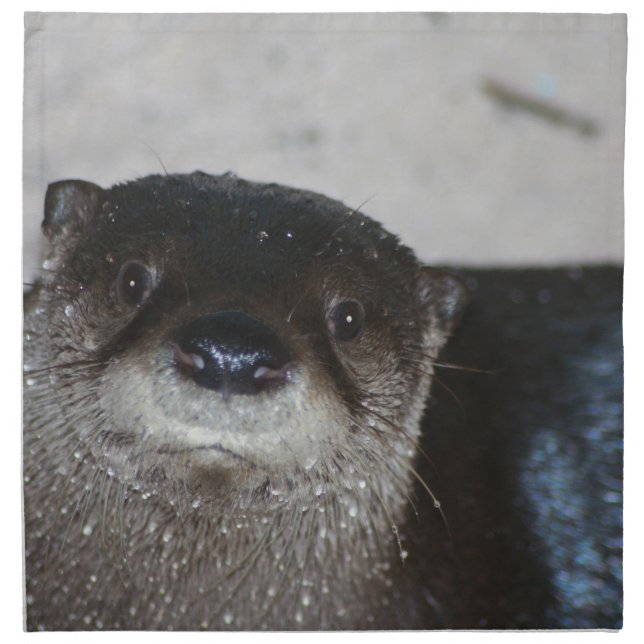 North American River Otter Cloth Napkin (Front)