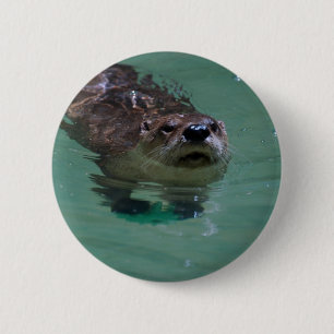 North American River Otter Pinback Button