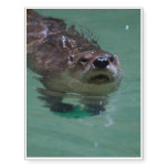 North American River Otter Temporary Tattoos