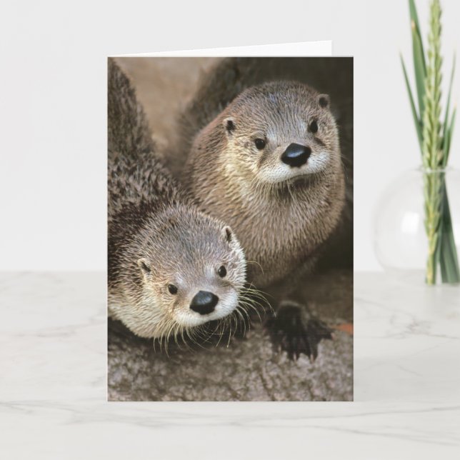 North American River Otters Card (Front)