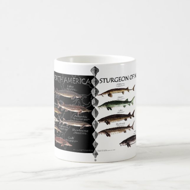 North American Sturgeon Posters Mug (Center)