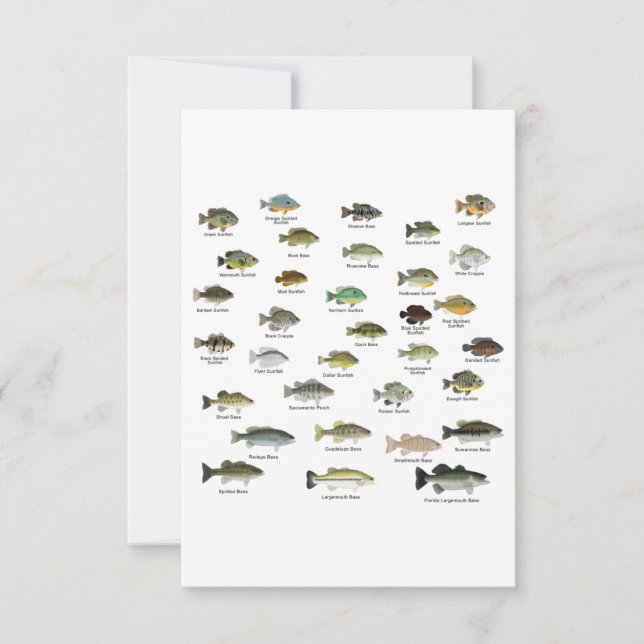 North American Sunfish Group Thank You Card (Front)