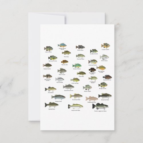 North American Sunfish Group Thank You Card