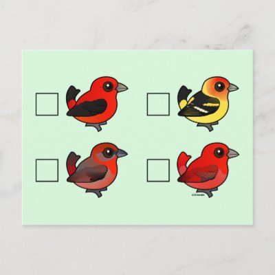North American Tanager Checklist Postcard
