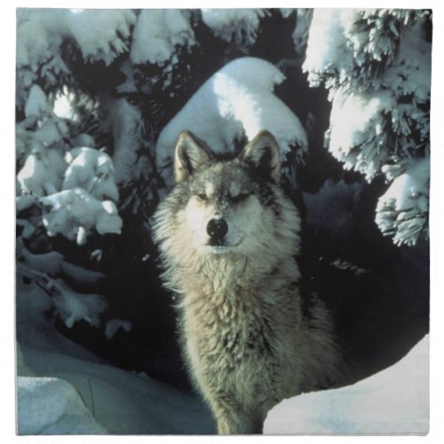 North American Timber Wolf in Snow Cloth Napkin