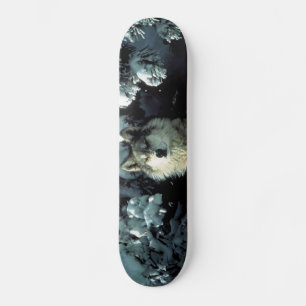 North American Timber Wolf in Snow Skateboard Deck