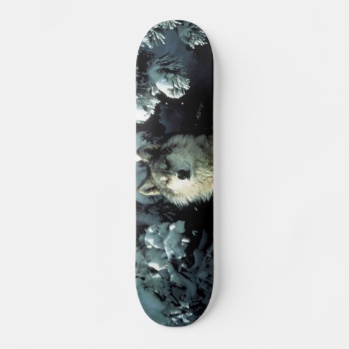 North American Timber Wolf in Snow Skateboard Deck