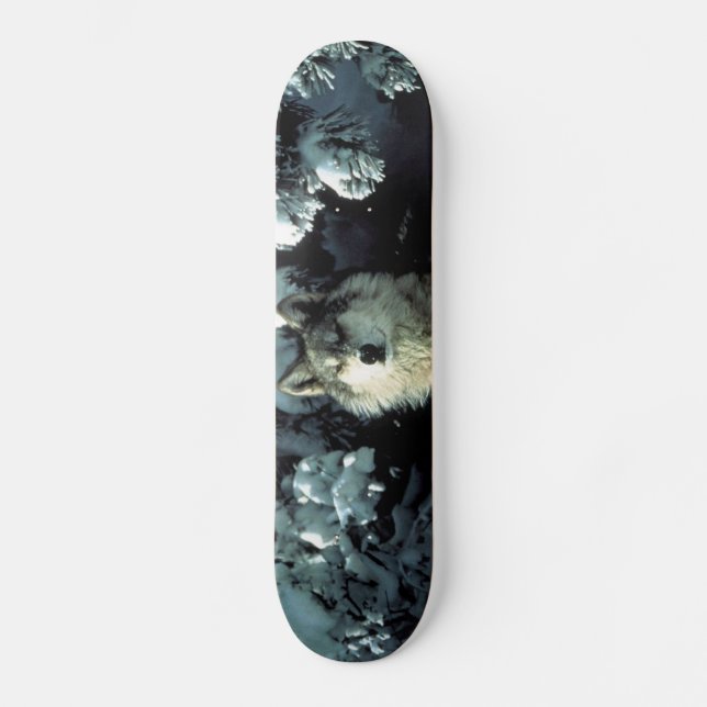 North American Timber Wolf in Snow Skateboard Deck (Front)