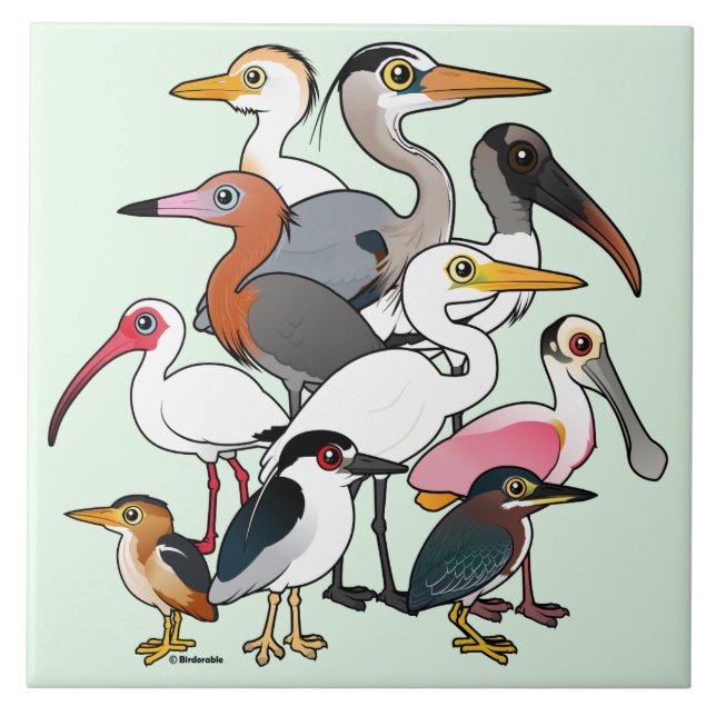 North American Waders Ceramic Tile (Front)