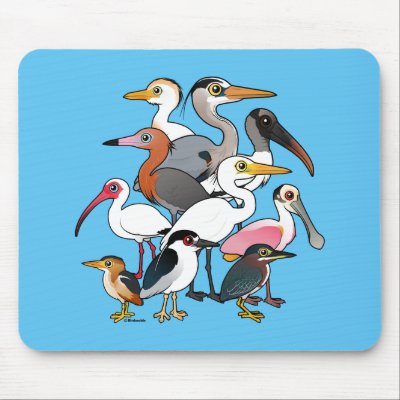 North American Waders Mouse Pad