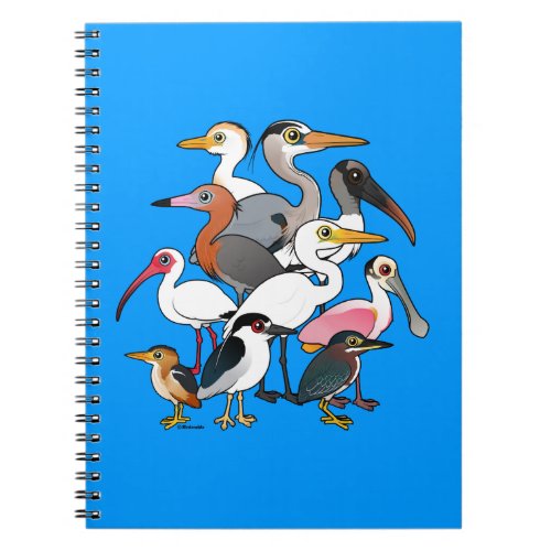 North American Waders Notebook