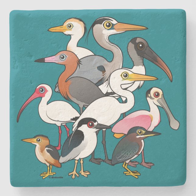 North American Waders Stone Coaster (Front)