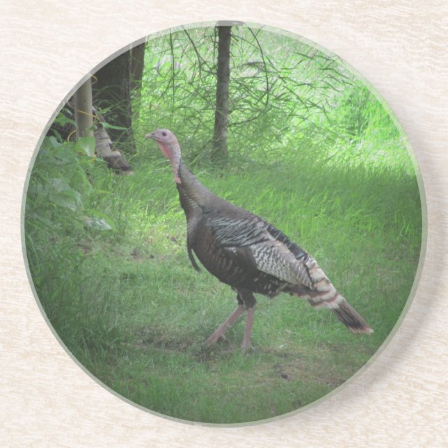 North American Wild Turkey Drink Coaster (Front)