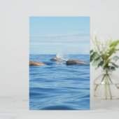 North Atlantic Bottlenose Whales (Standing Front)