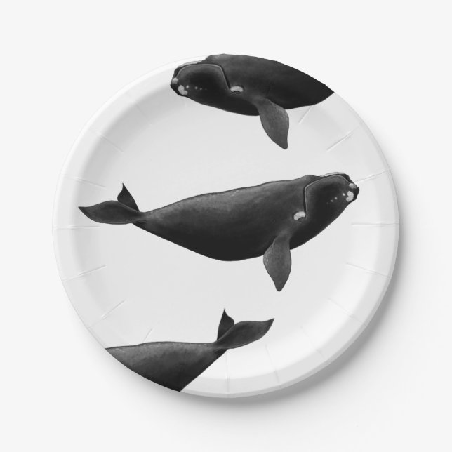 North Atlantic right whale Eubalaena glacialis Art Paper Plates (Front)