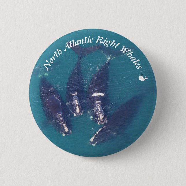 North Atlantic Right Whales by RoseWrites Button (Front)