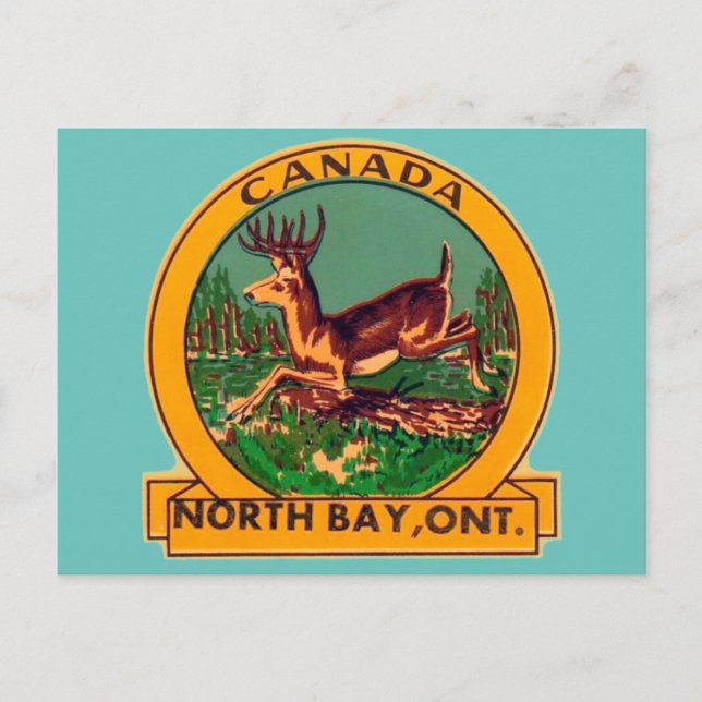  North Bay, Ontario - Postcard (Front)