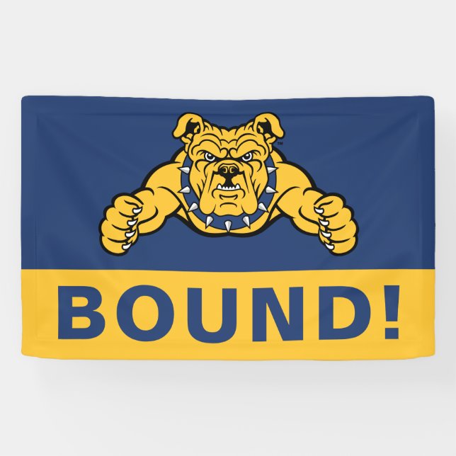 North Carolina A&T State University | Bulldog Banner (Horizontal)