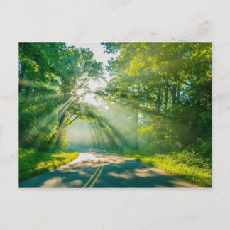 north carolina blue ridge barkway mountains postcard