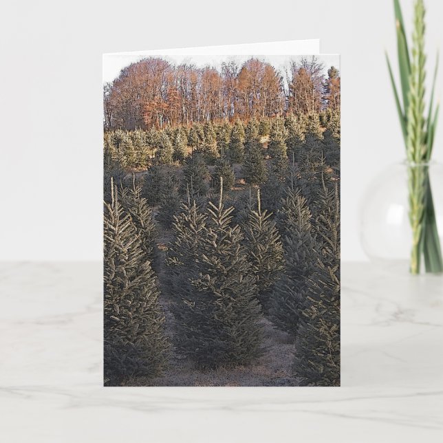 North Carolina Christmas Trees Holiday Card (Front)